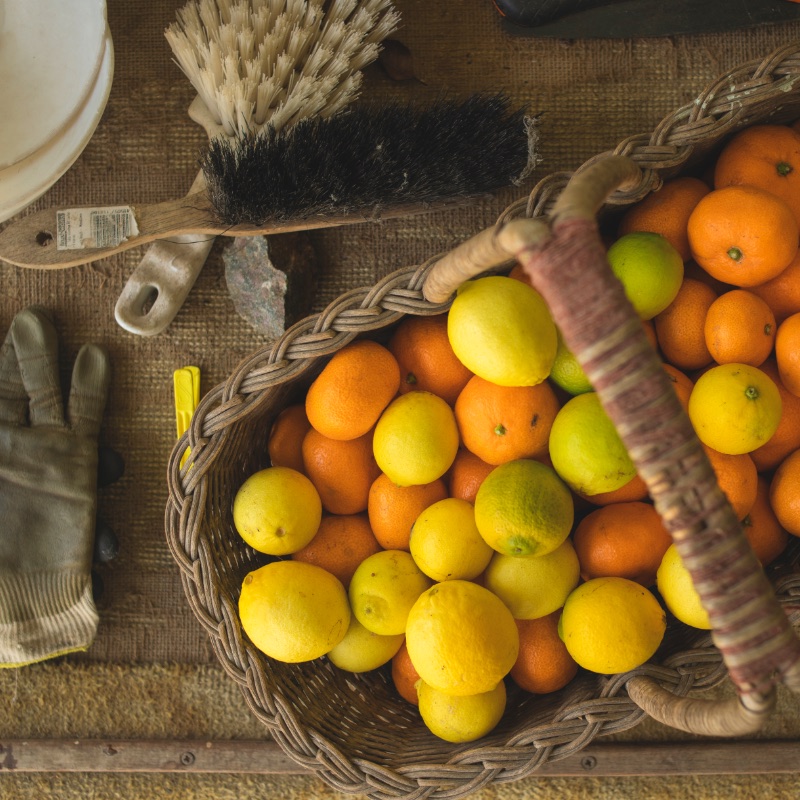 Citrus basket