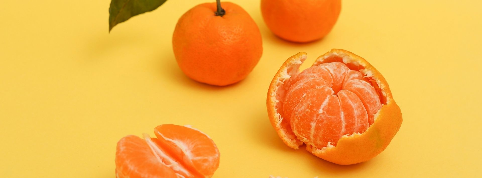May Citrus News ’25